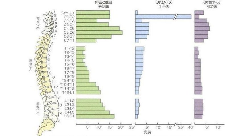 頚椎の可動性